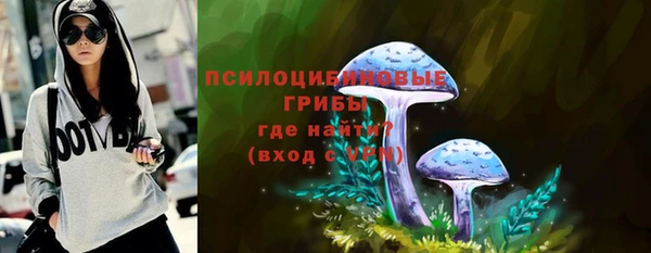спиды Алексеевка