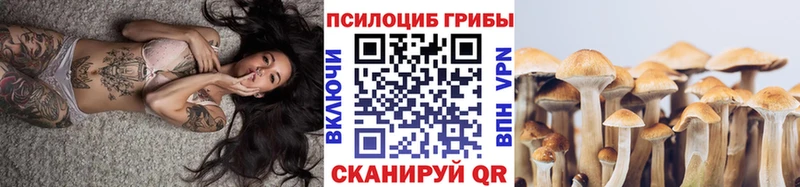 Галлюциногенные грибы Psilocybe  купить наркотики сайты  Люберцы 