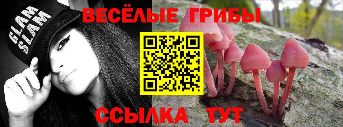 Галлюциногенные грибы Psilocybine cubensis Люберцы