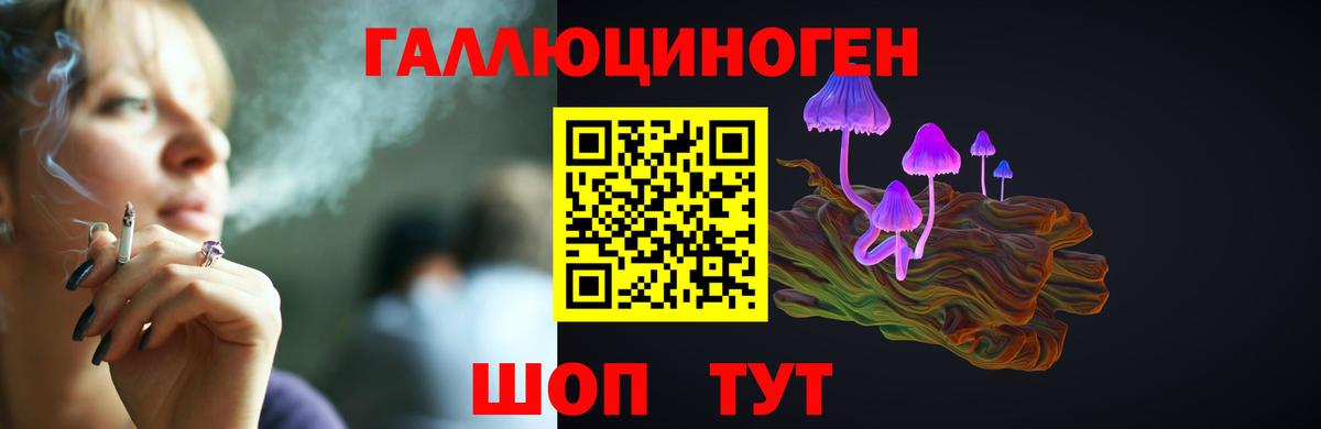 Псилоцибиновые грибы Cubensis  Вход с VPN  Люберцы 